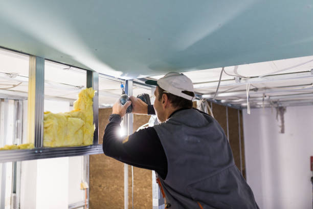 Best Insulation for Specific Applications in Greenback, TN