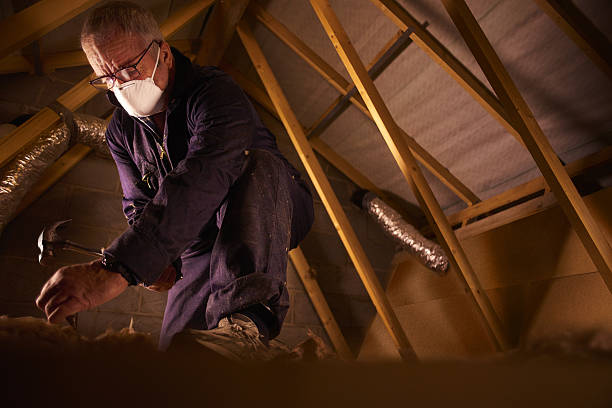 Best DIY Insulation Kits and Guidance in Greenback, TN