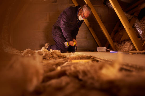 Best Eco-Friendly Insulation in Greenback, TN