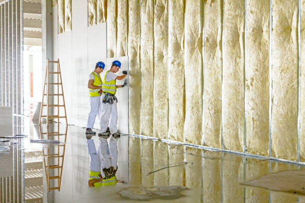 Best Cellulose Insulation in Greenback, TN